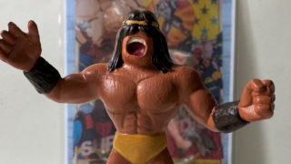 Thumbnail of post image 004