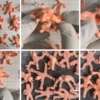 Thumbnail of related posts 015